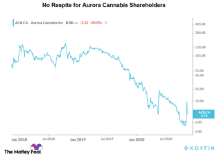 aurora cannabis