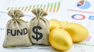 funds, money, nest egg