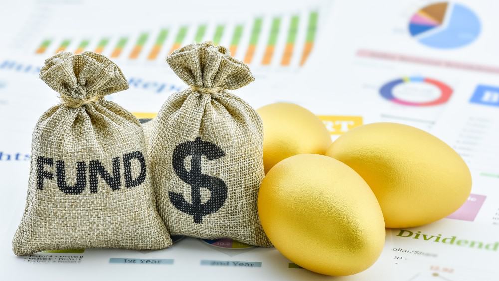 funds, money, nest egg