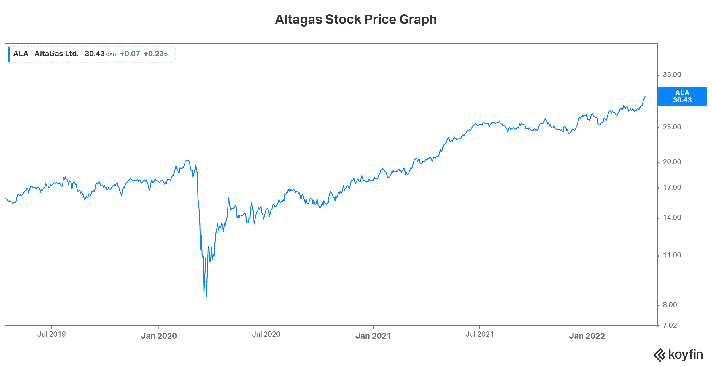 beginner investors dividend stocks